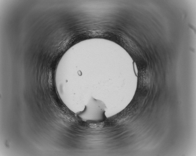 X0000095890700200802081118