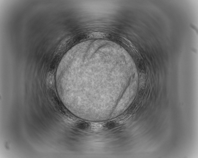 X0000095890701200802081118
