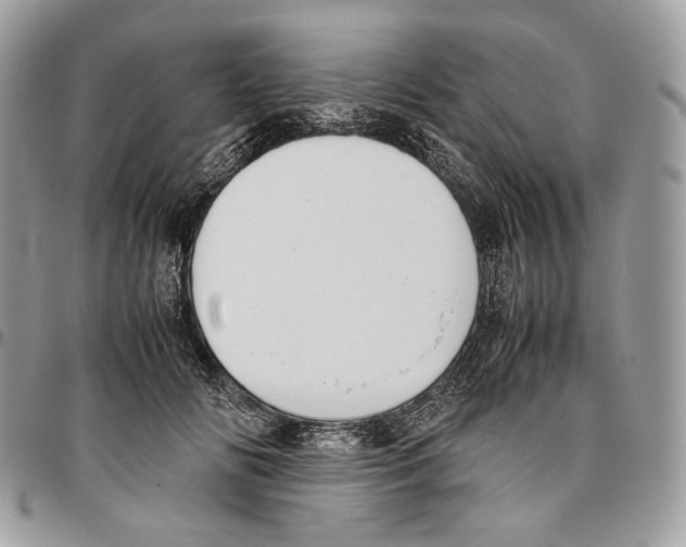 X0000095890702200802081118