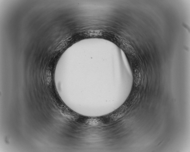 X0000095890704200802081118