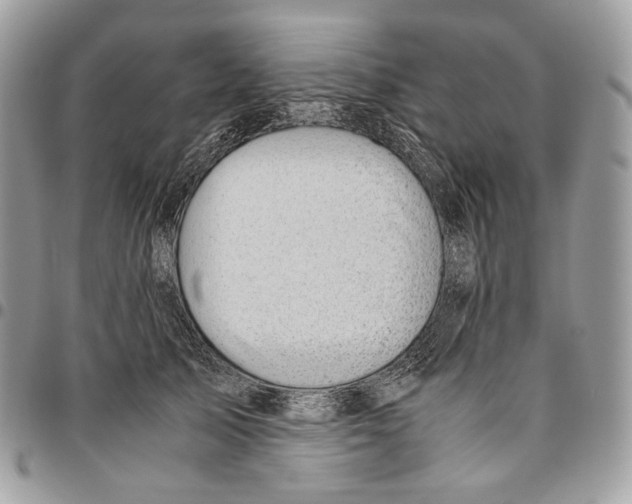 X0000095890705200802081117