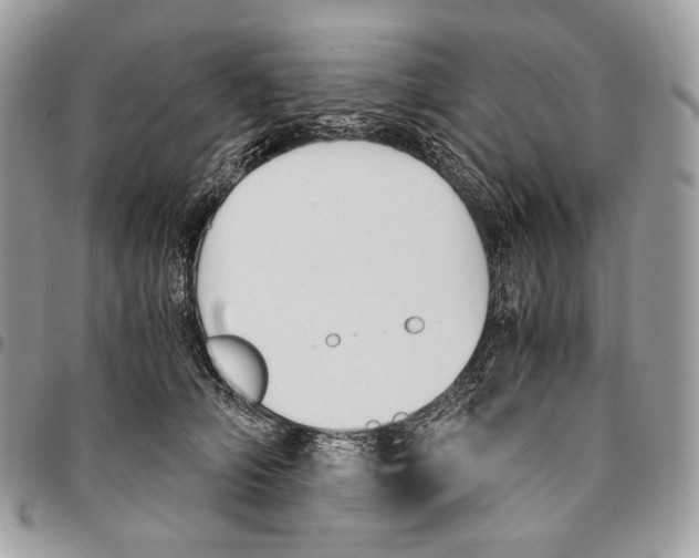 X0000095890706200802081117