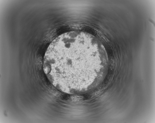 X0000095890707200802081117