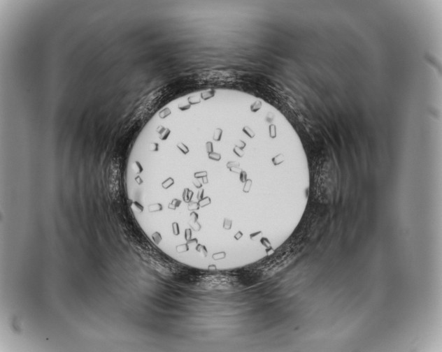 X0000095890708200802081117