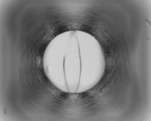 X0000095890709200802081117