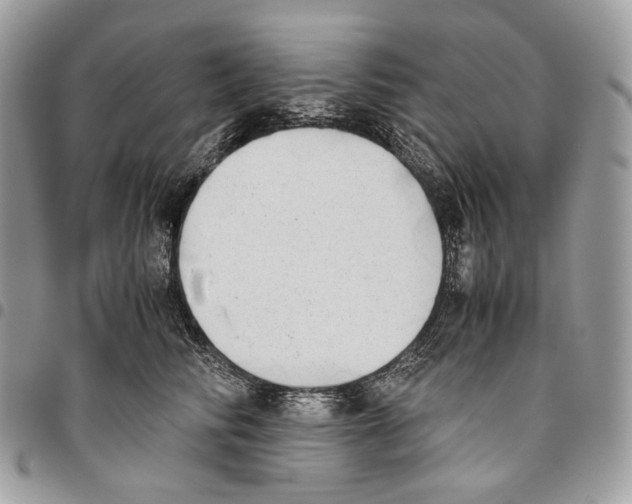 X0000095890710200802081117