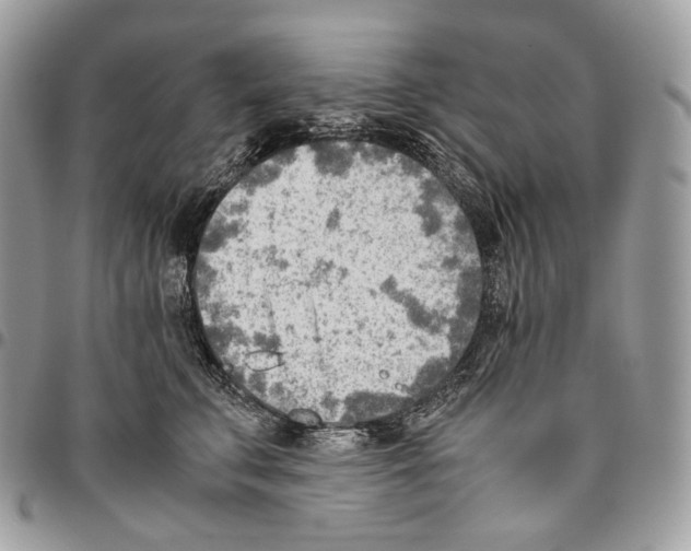X0000095890711200802081117