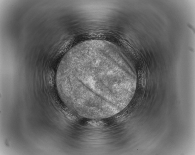 X0000095890712200802081117