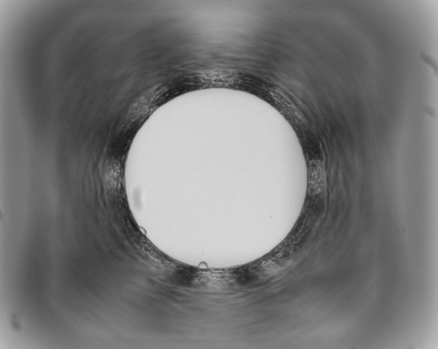 X0000095890713200802081117