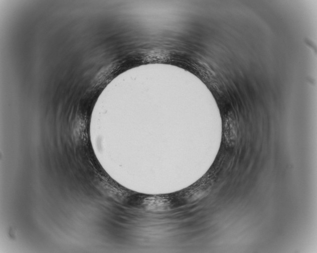 X0000095890714200802081117
