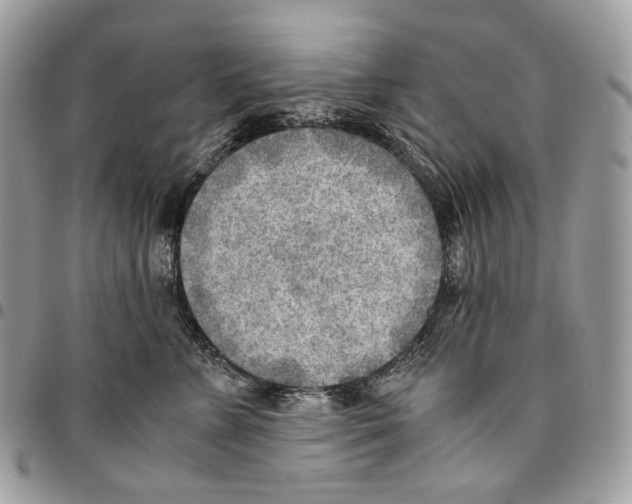 X0000095890715200802081117