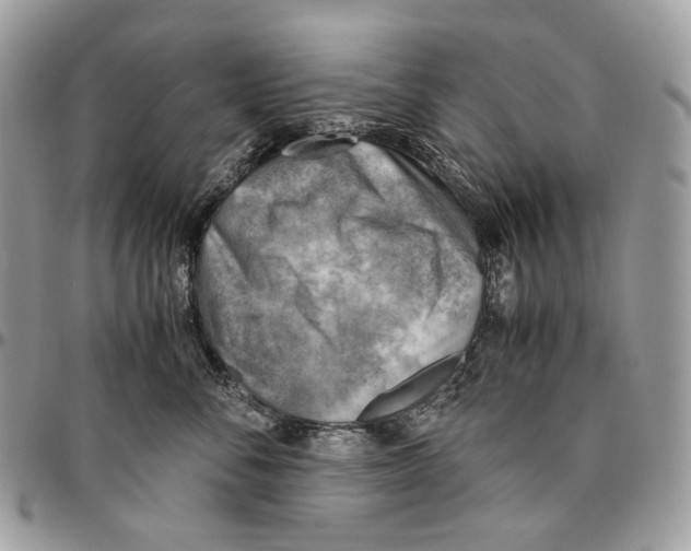 X0000095890716200802081117