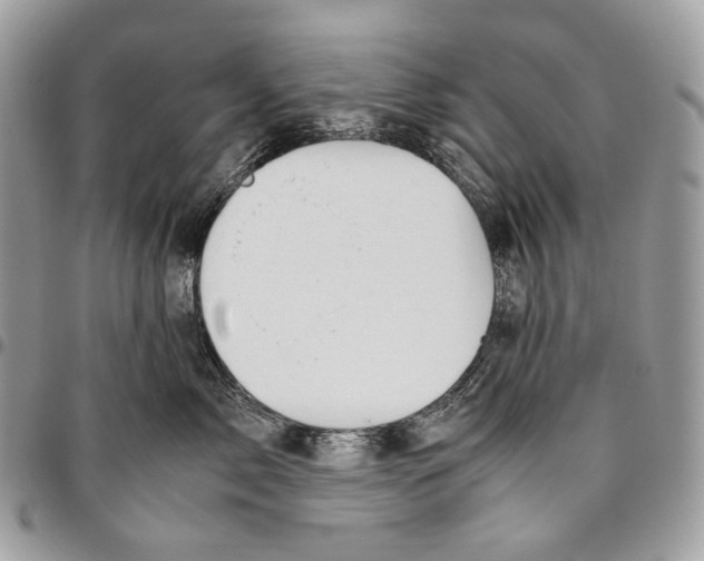 X0000095890717200802081117