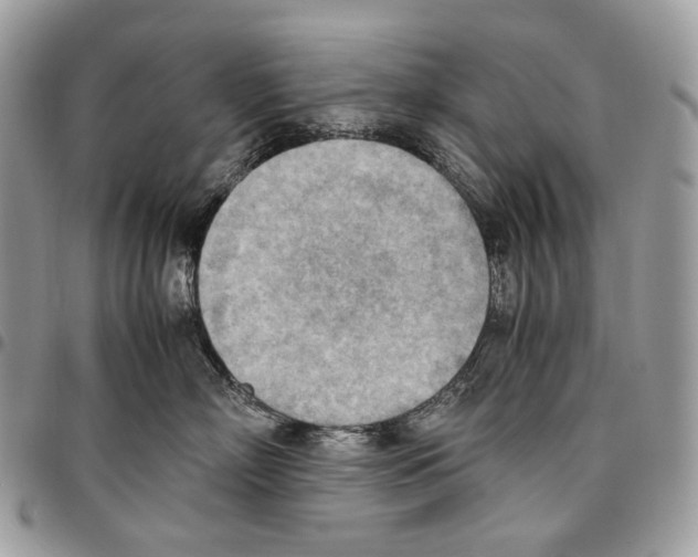 X0000095890718200802081117