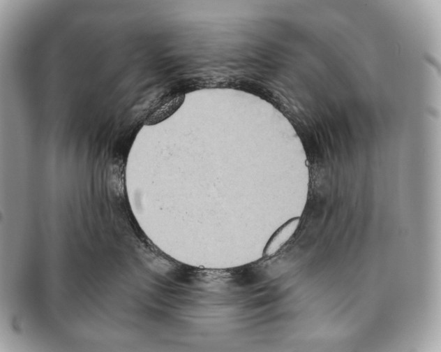 X0000095890719200802081117