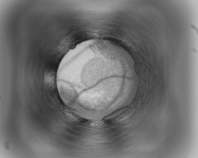 X0000095890720200802081117