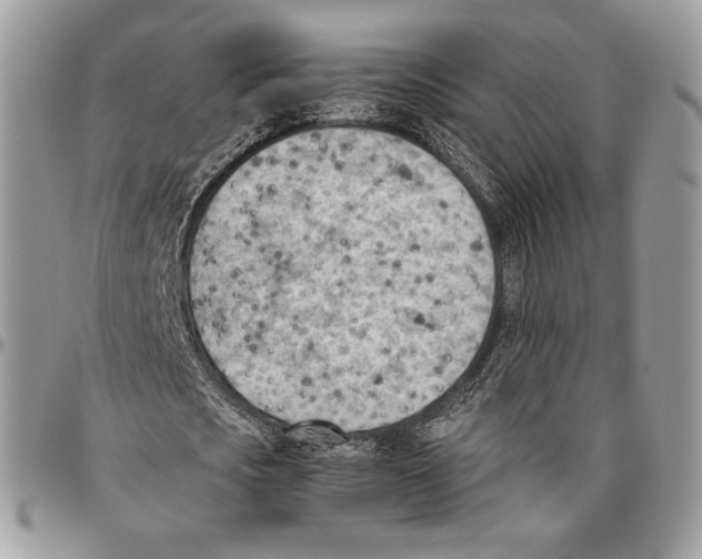 X0000095890721200802081116