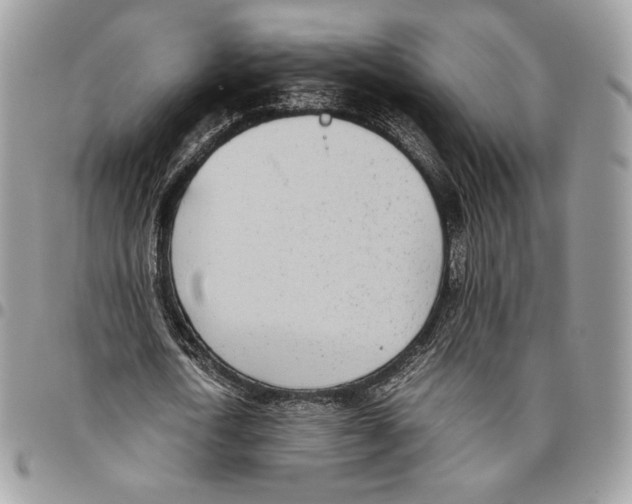 X0000095890722200802081116