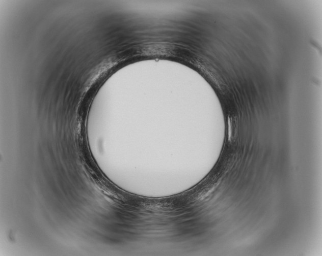 X0000095890723200802081116