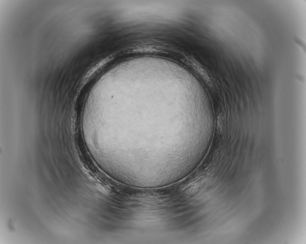 X0000095890724200802081117