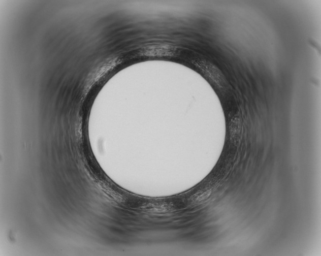 X0000095890727200802081117