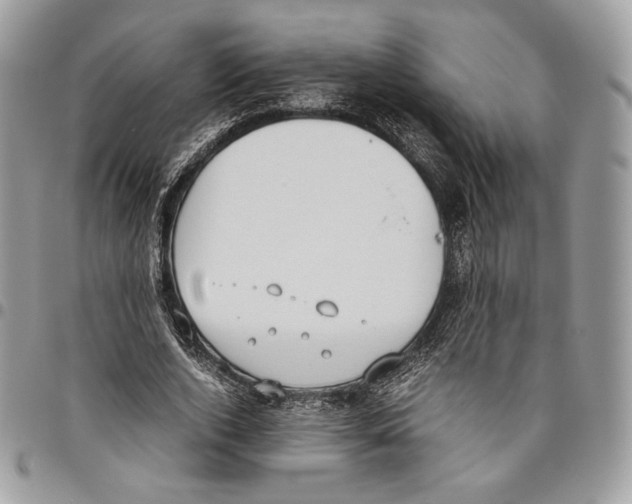 X0000095890728200802081117