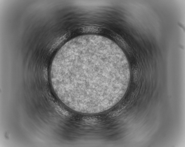 X0000095890729200802081117
