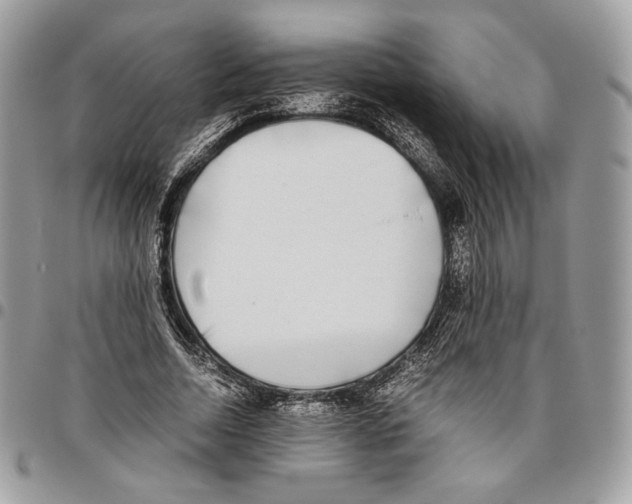 X0000095890730200802081117