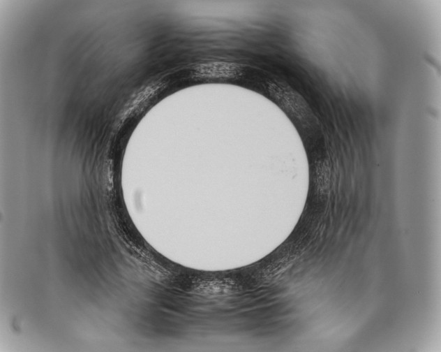 X0000095890731200802081117