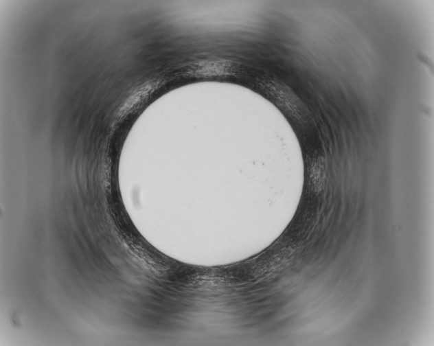 X0000095890732200802081117
