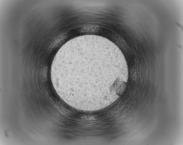 X0000095890735200802081117