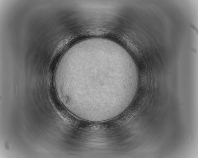 X0000095890736200802081117