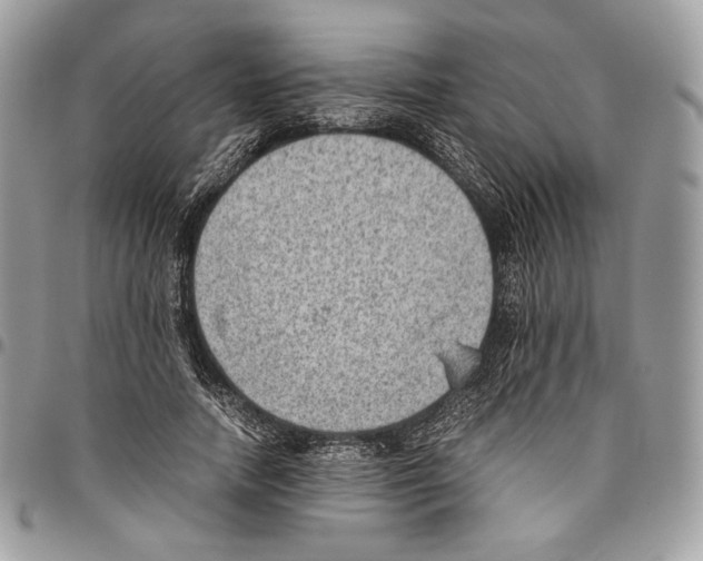 X0000095890738200802081117