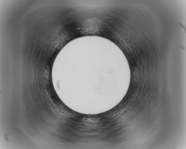 X0000095890739200802081117