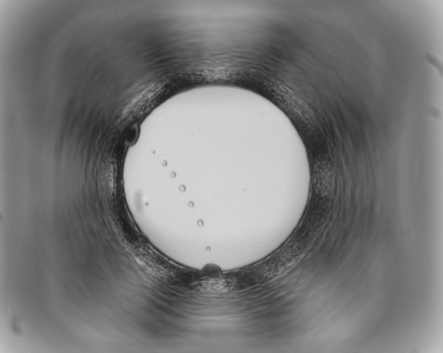 X0000095890740200802081117