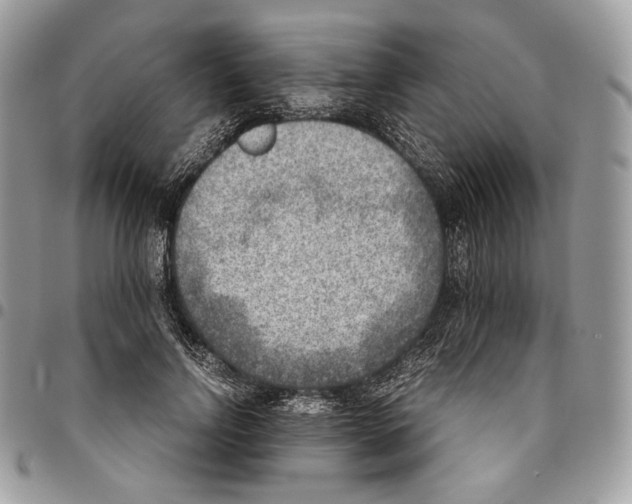 X0000095890742200802081117