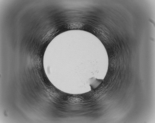 X0000095890743200802081117