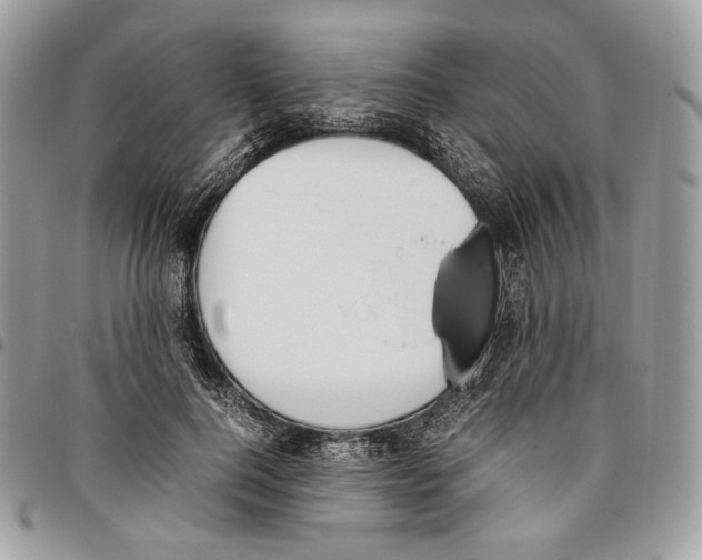 X0000095890744200802081117