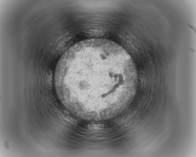 X0000095890745200802081117