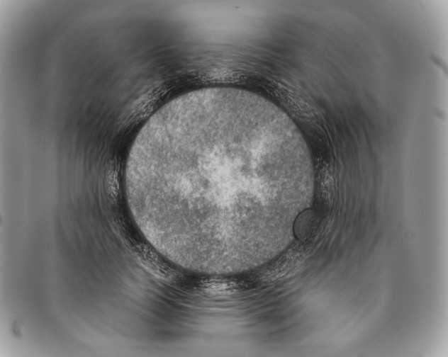 X0000095890746200802081117