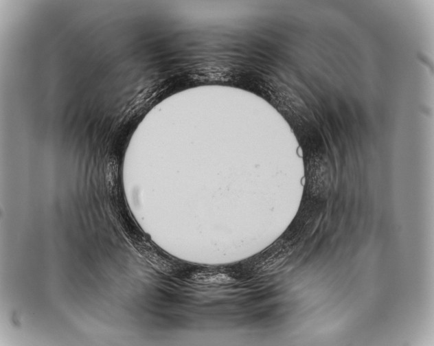 X0000095890747200802081117