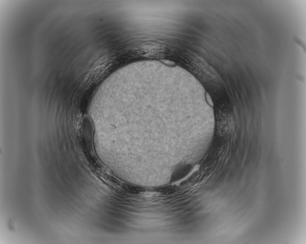 X0000095890748200802081117