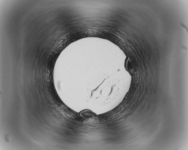 X0000095890750200802081117