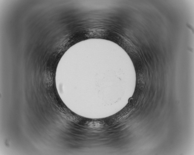 X0000095890751200802081117