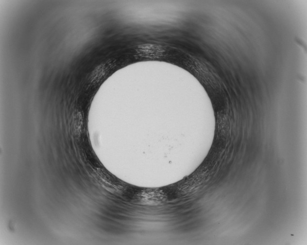 X0000095890752200802081117