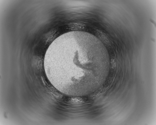 X0000095890753200802081117
