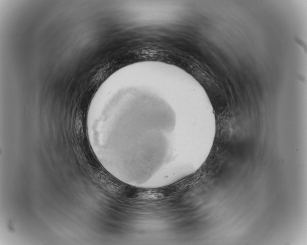 X0000095890754200802081117