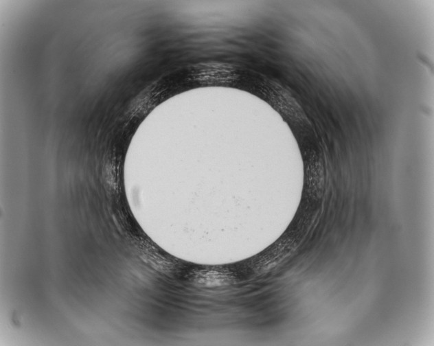 X0000095890755200802081117