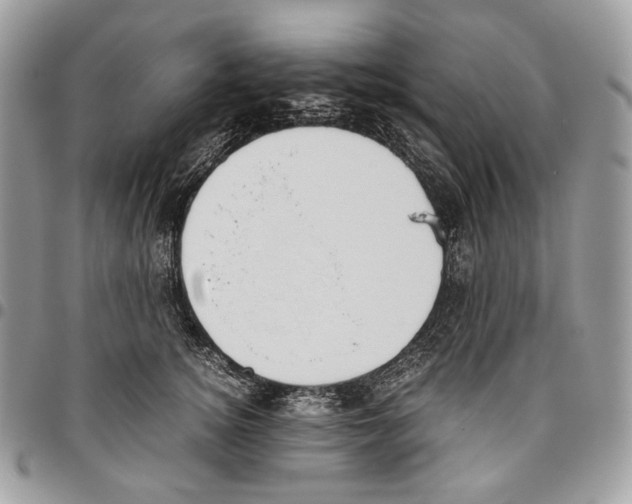 X0000095890756200802081117