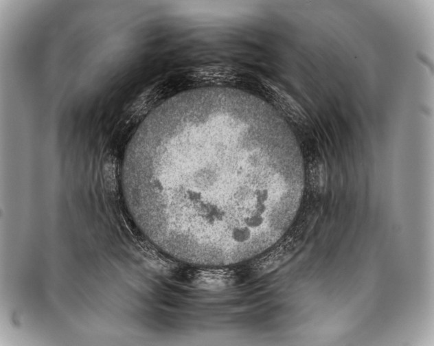 X0000095890757200802081117